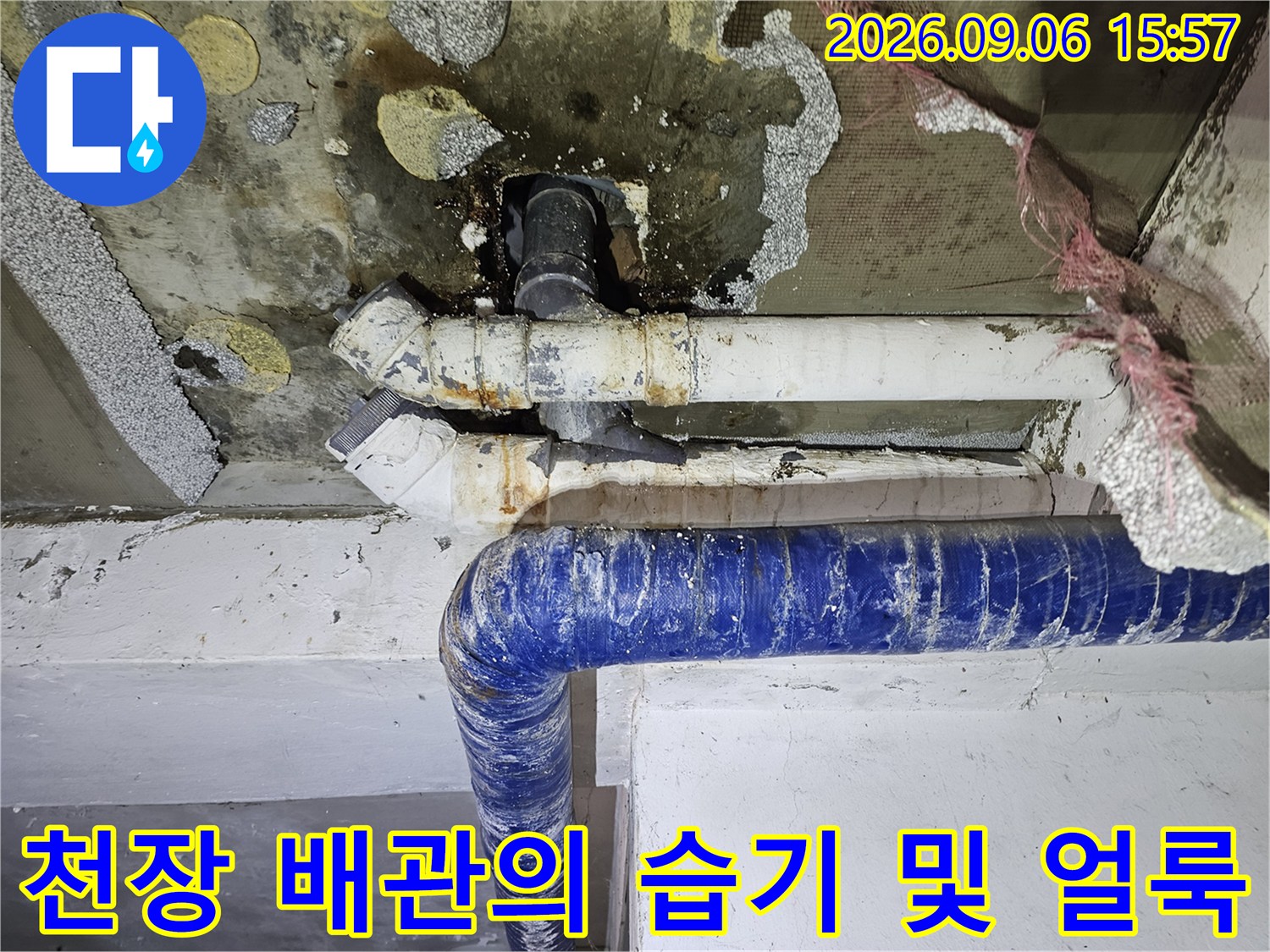 배관 주변 천장 마감재에 발생한 물자국과 곰팡이 흔적입니다.