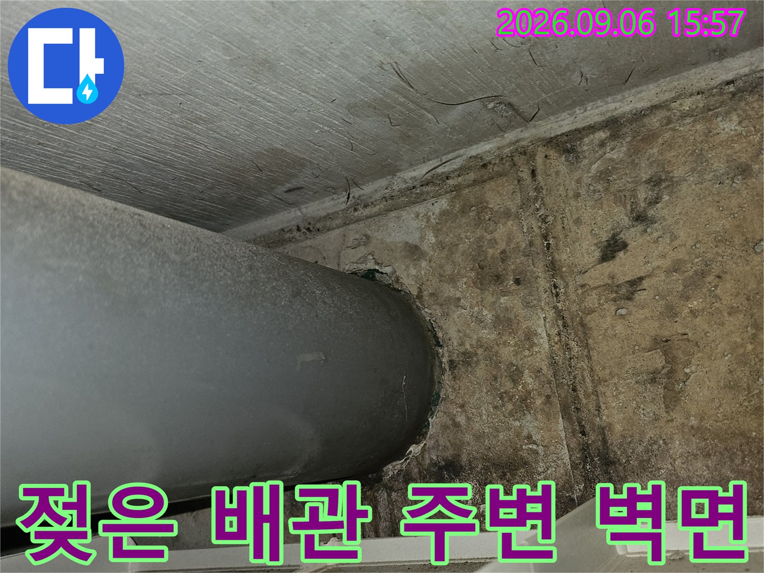 습기가 침투하여 변색된 천장 마감재와 배수 파이프의 근접 촬영