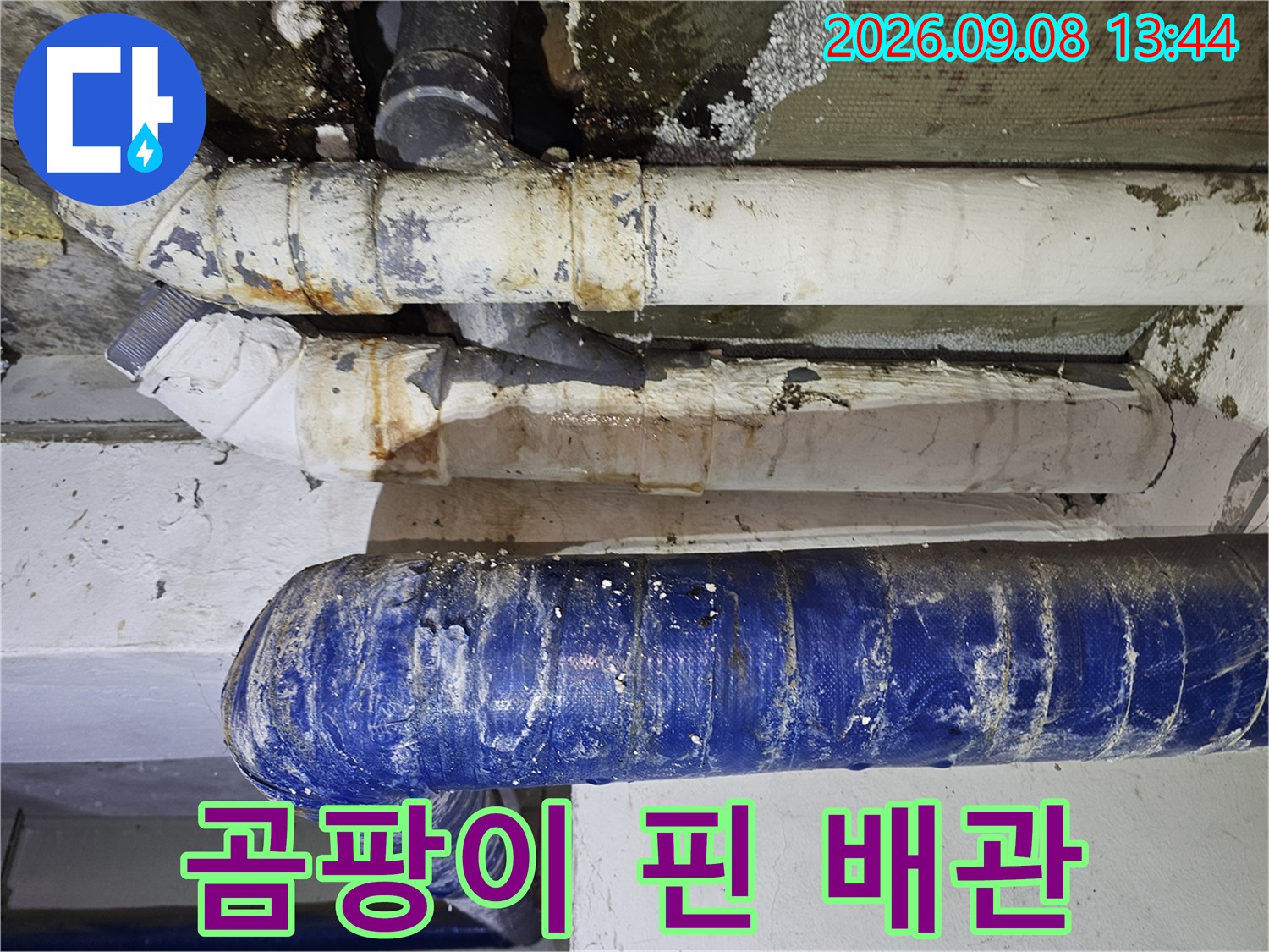 은평구 갈현동-누수로 인해 오염된 천장 배관 모습