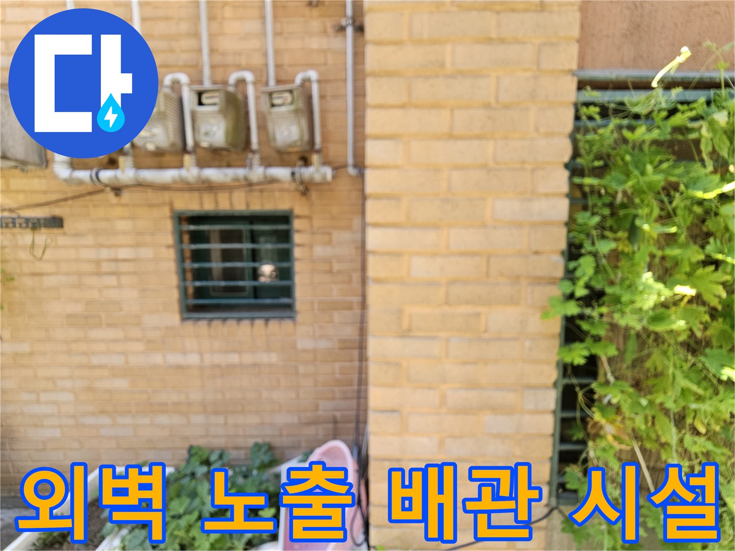 은평구 갈현동 외벽에 설치된 다수의 수도 계량기와 급수 연결관