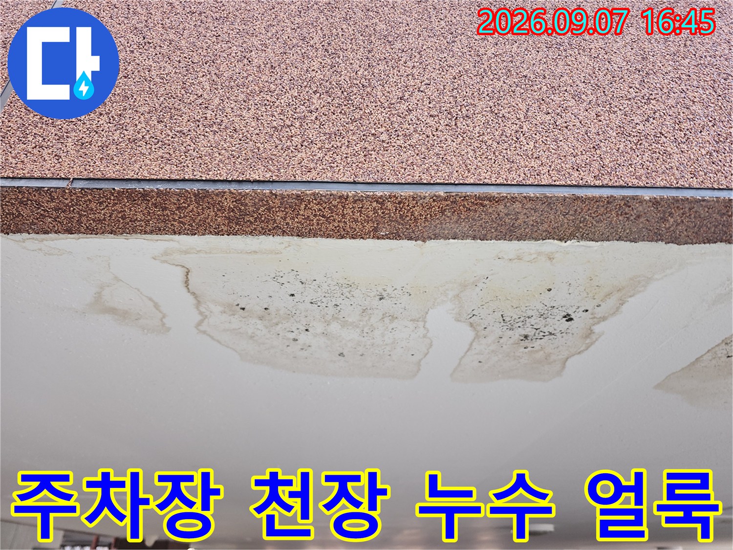 인천 남동구 구월동 필로티 주차장 천장에 발생한 누수 흔적과 젖은 자국
