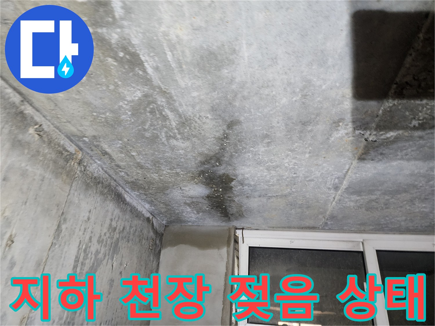 빌라 지하층-누수로 인해 어둡게 변한 콘크리트 천장