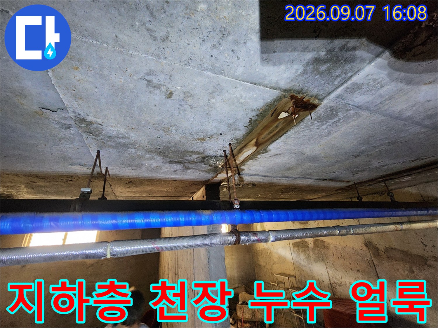 연천군 전곡읍 빌라-지하층 천장 슬래브의 누수 흔적과 오염 상태