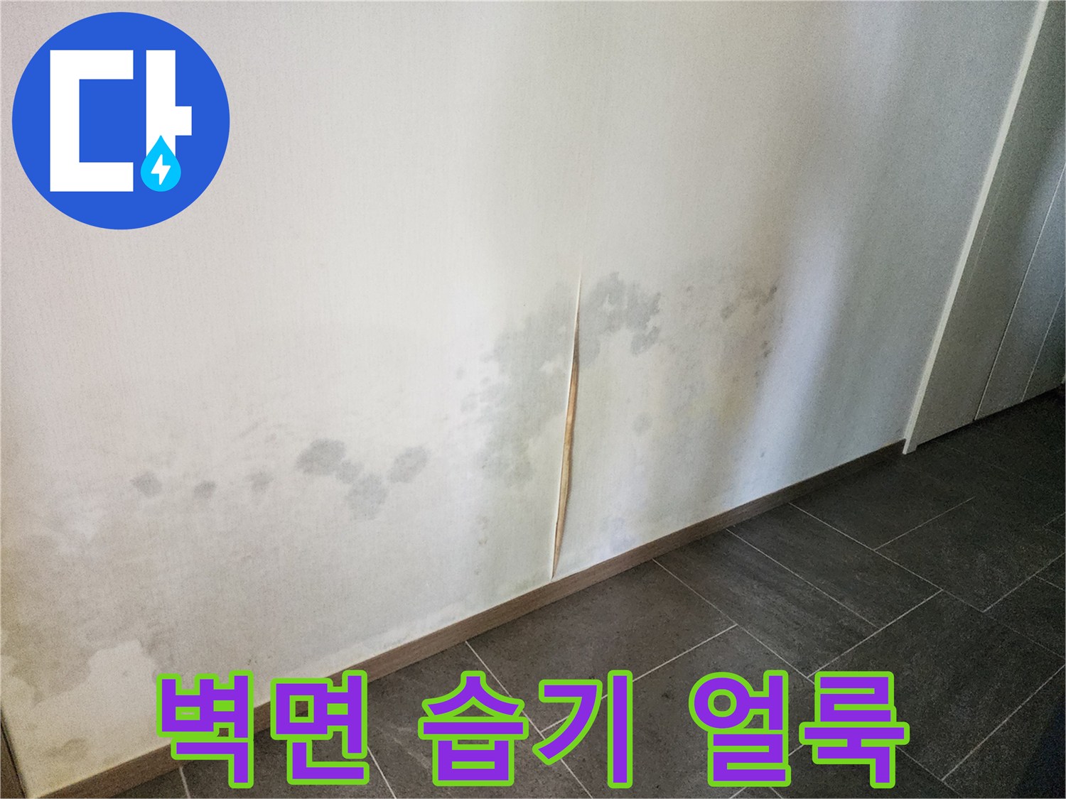 하얀 벽지에 스며든 물자국과 곰팡이 발생 부위