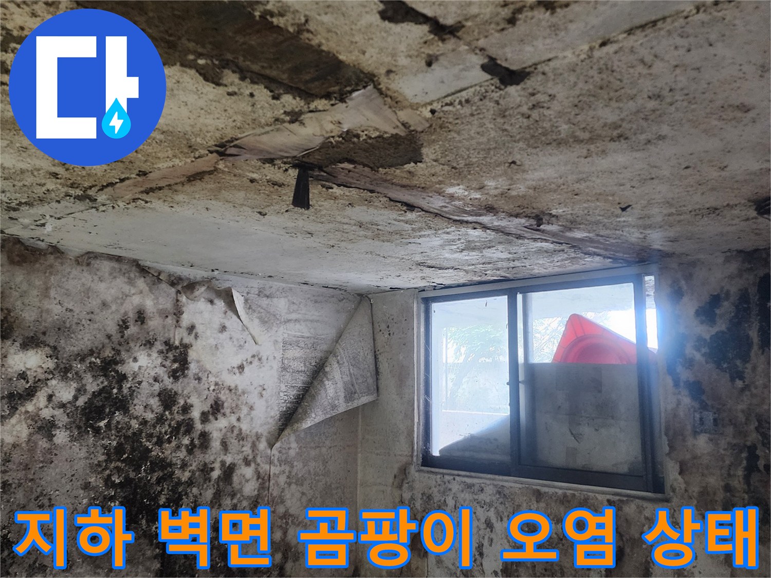 곰팡이가 번진 지하실 내부-습기가 가득한 벽과 바닥의 모습