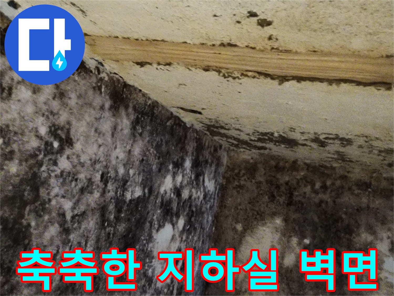곰팡이와 습기가 가득한 지하 공간의 내부 상황