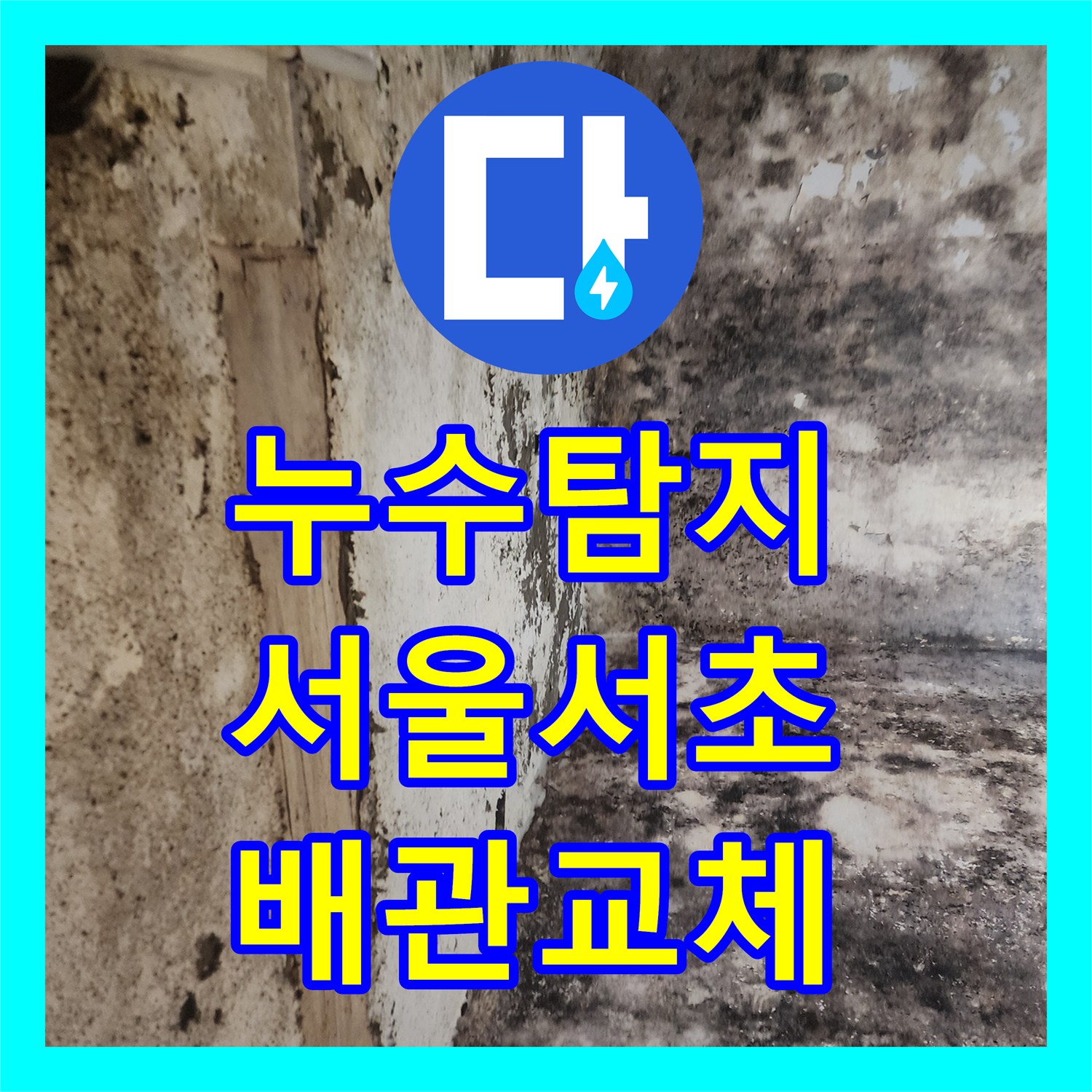 누수탐지 서울 서초구 염곡동 전원주택 지하실 천장 물샘 원인을 찾아 수선한 과정