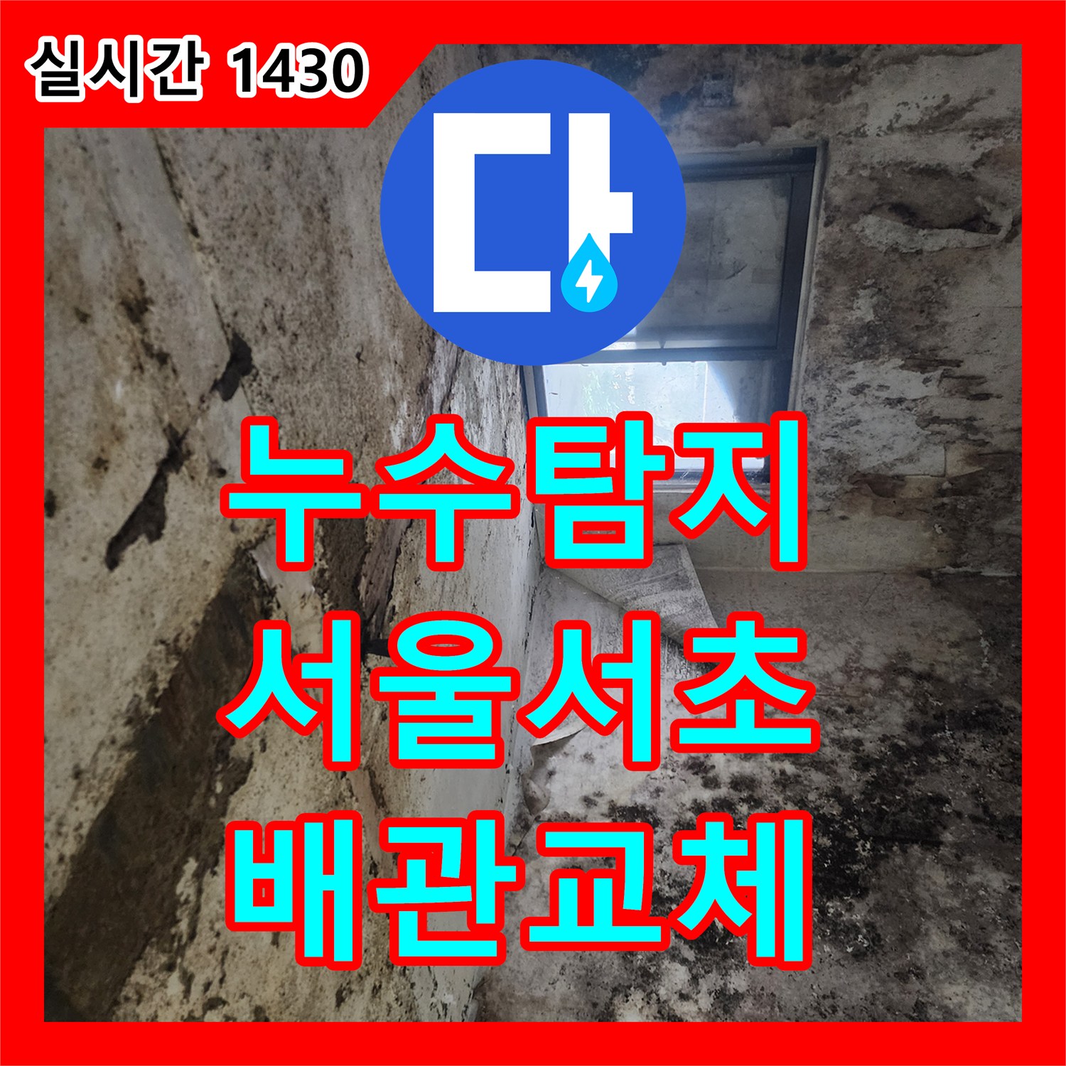 누수탐지 전원주택 지하실 천장 습기와 곰팡이 원인을 찾아 배관을 교체한 서울 서초구 염곡동 사례