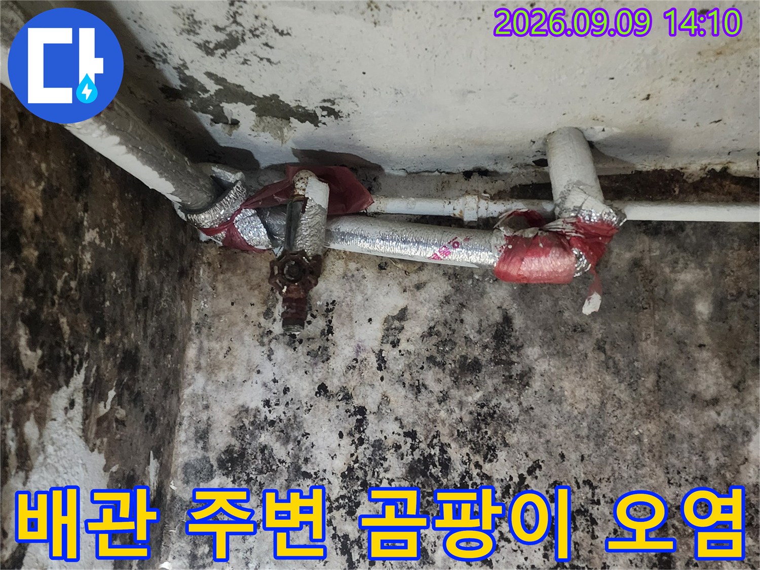 배관 연결 부위 근처-심하게 오염된 지하실 벽면 상태