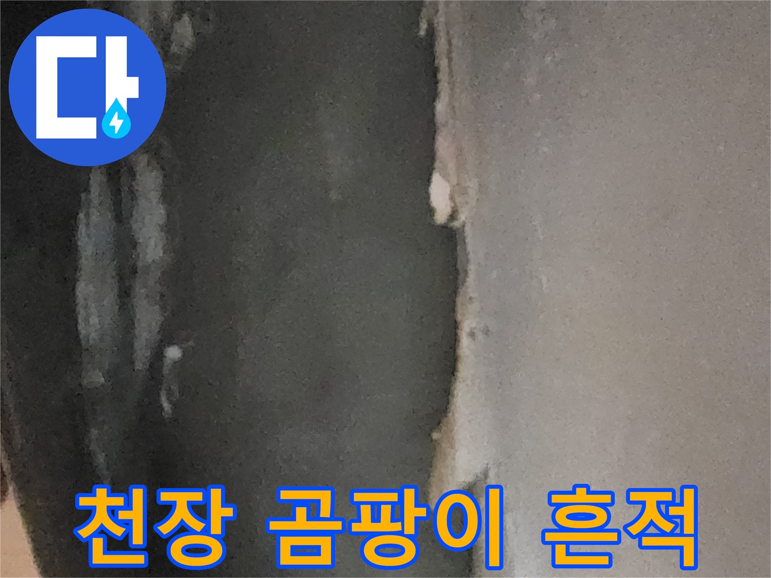 습한 환경으로 인해-곰팡이가 발생한 지하 천장면