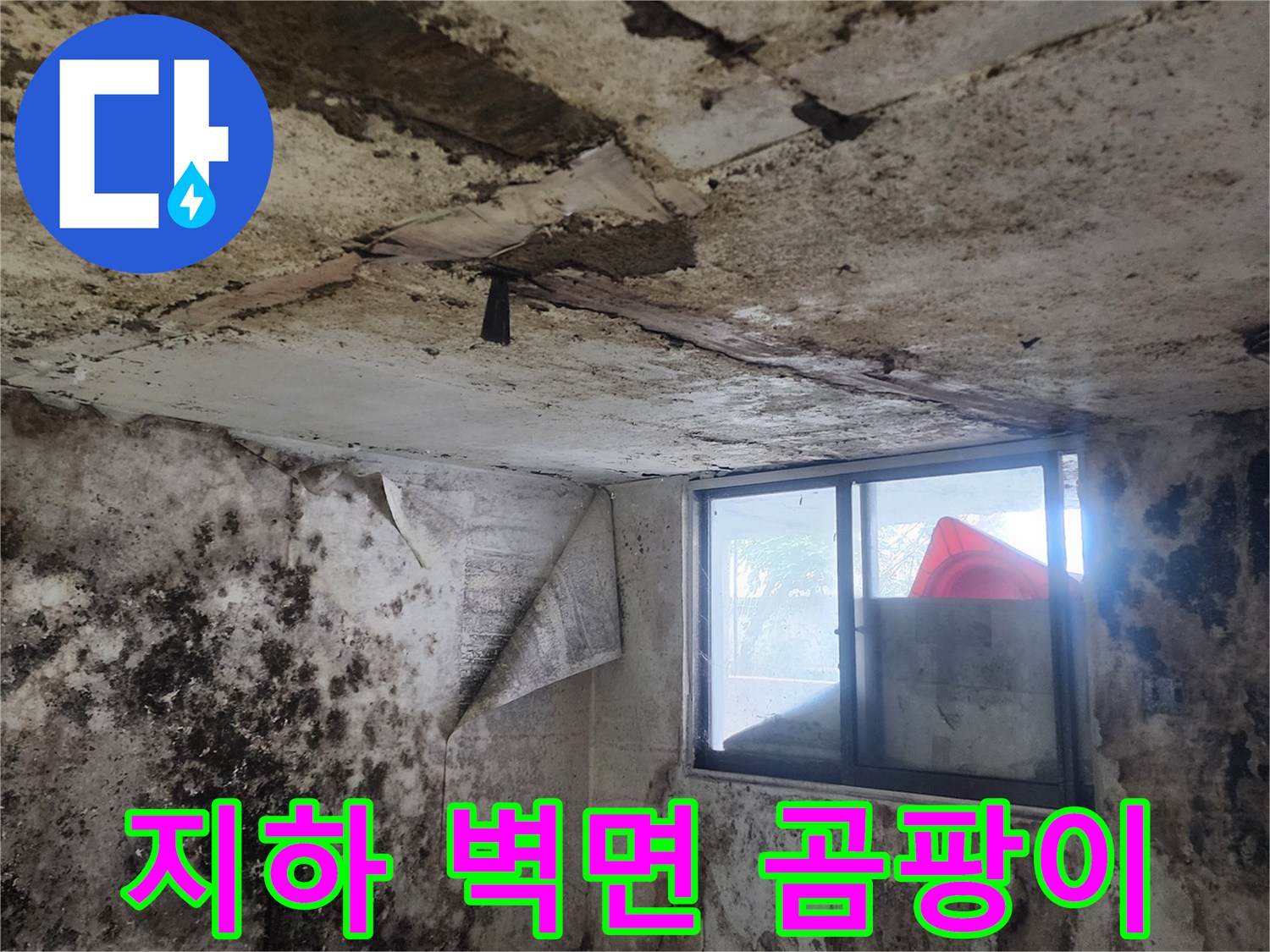 오염된 지하실 내부-습기와 곰팡이가 번진 벽면과 바닥의 모습