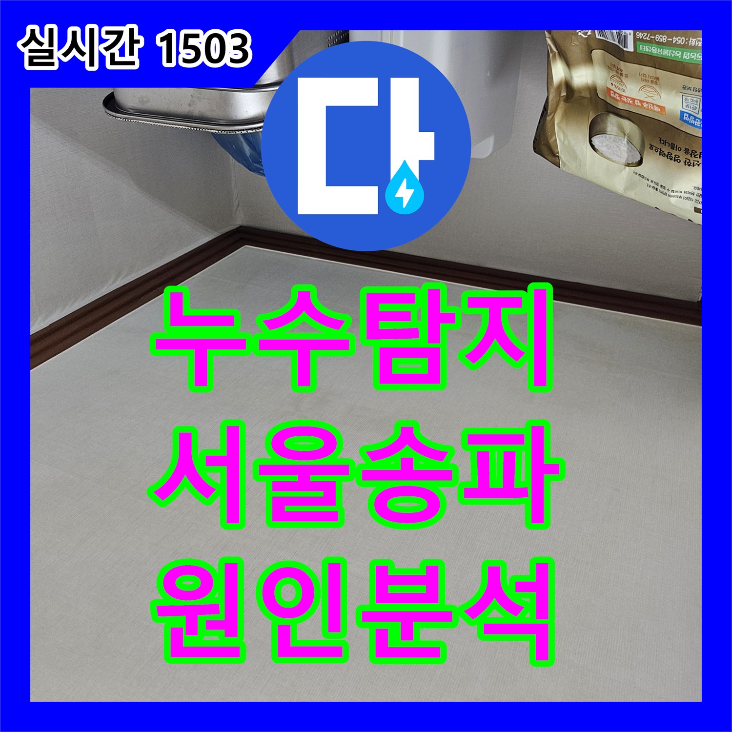 누수탐지 방과 거실 벽면 전체에 퍼진 곰팡이의 원인을 정밀 진단한 서울 송파구 석촌동 현장