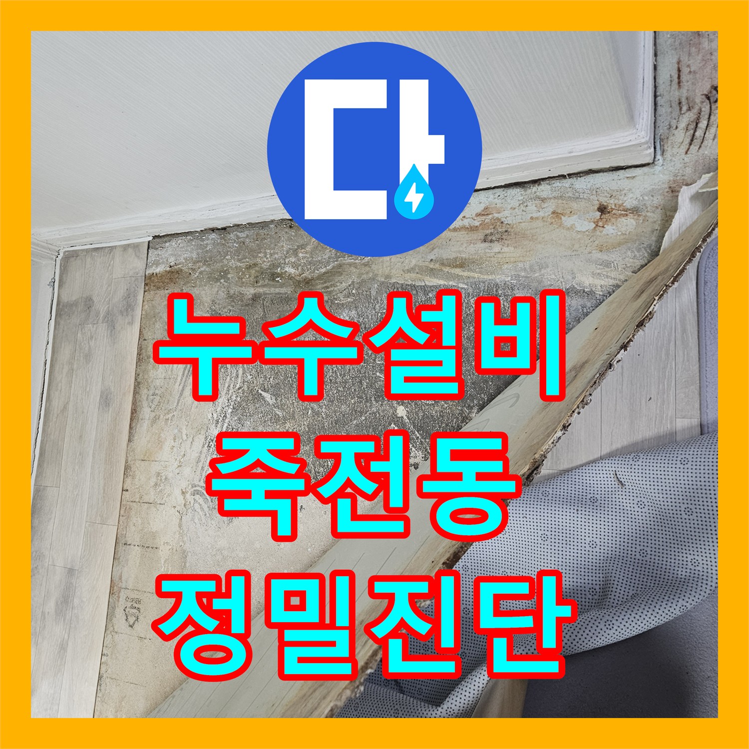 누수설비 아랫집 현관 대리석과 바닥 침수 피해를 입증하는 정밀 진단 경기 용인시 수지구 죽전동