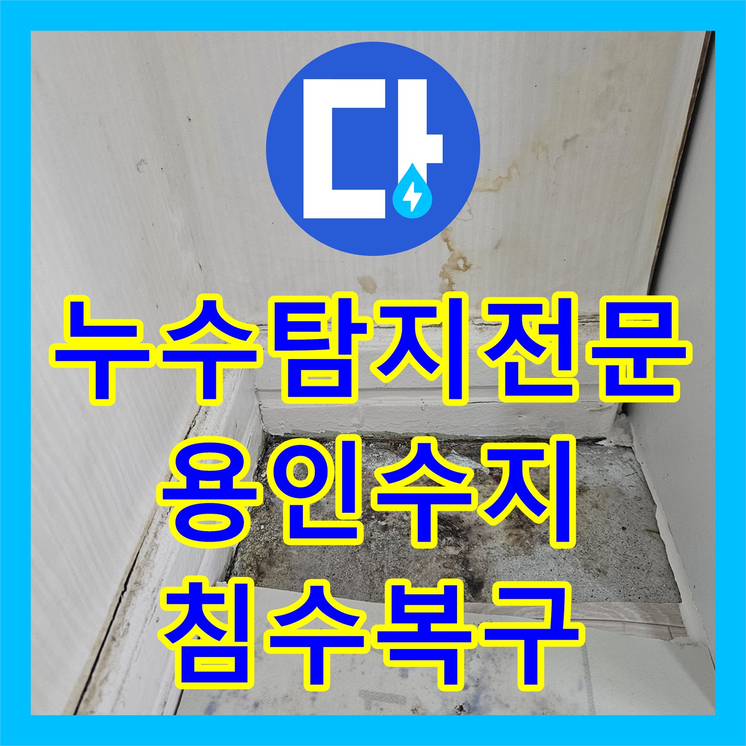 누수탐지전문 윗집 계량기 누수로 인한 아랫집 광범위 침수 피해 분석 용인시 수지구 죽전동