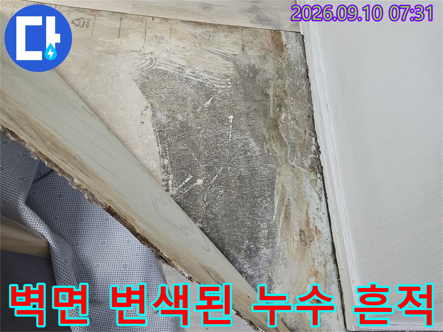 용인 수지구 죽세동 현장의-물에 젖어 변색된 벽면과 훼손된 마감재 모습입니다.