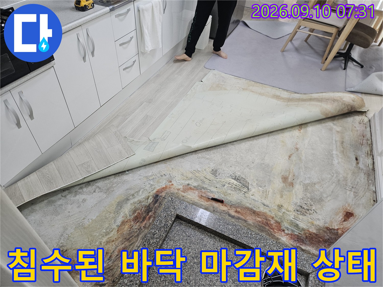 장판을 걷어내고 확인한 젖은 바닥면과 변색된 자국들