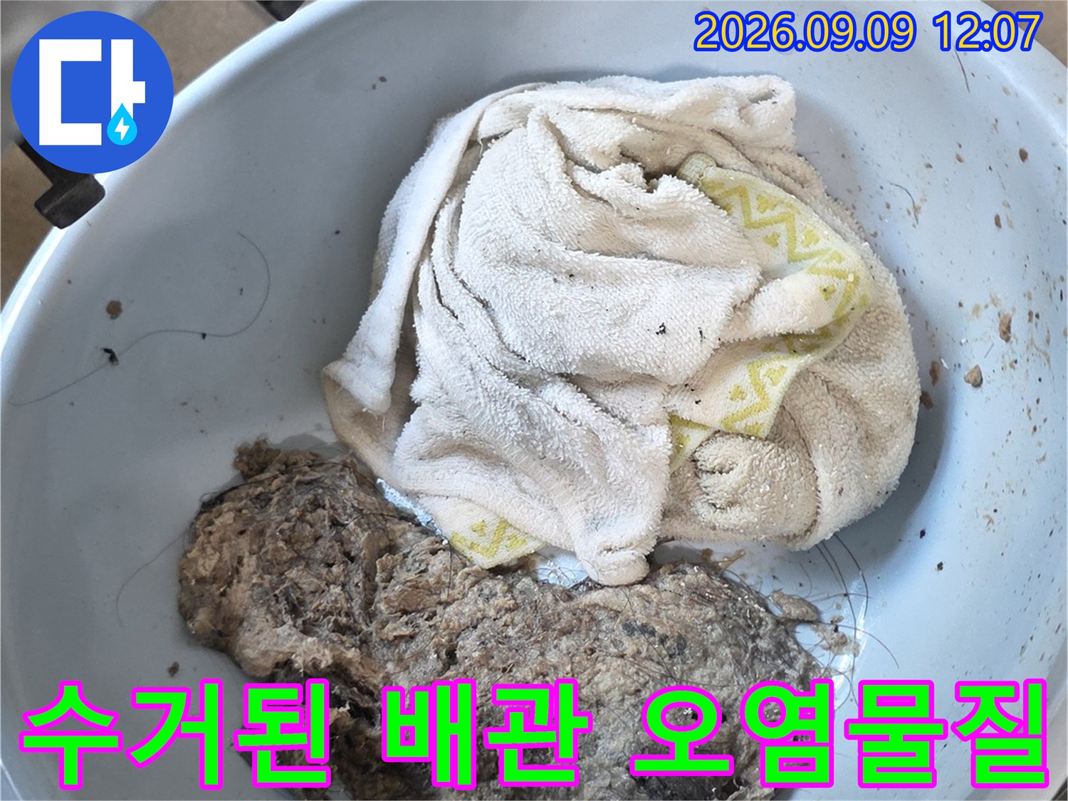 배관 내부 세척-작업 후 수거한 머리카락과 슬러지 덩어리입니다.