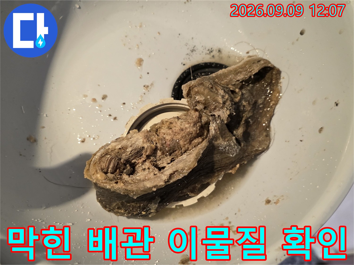 하수구 내부-배관 입구를 막고 있는 머리카락과 오염된 슬러지 덩어리