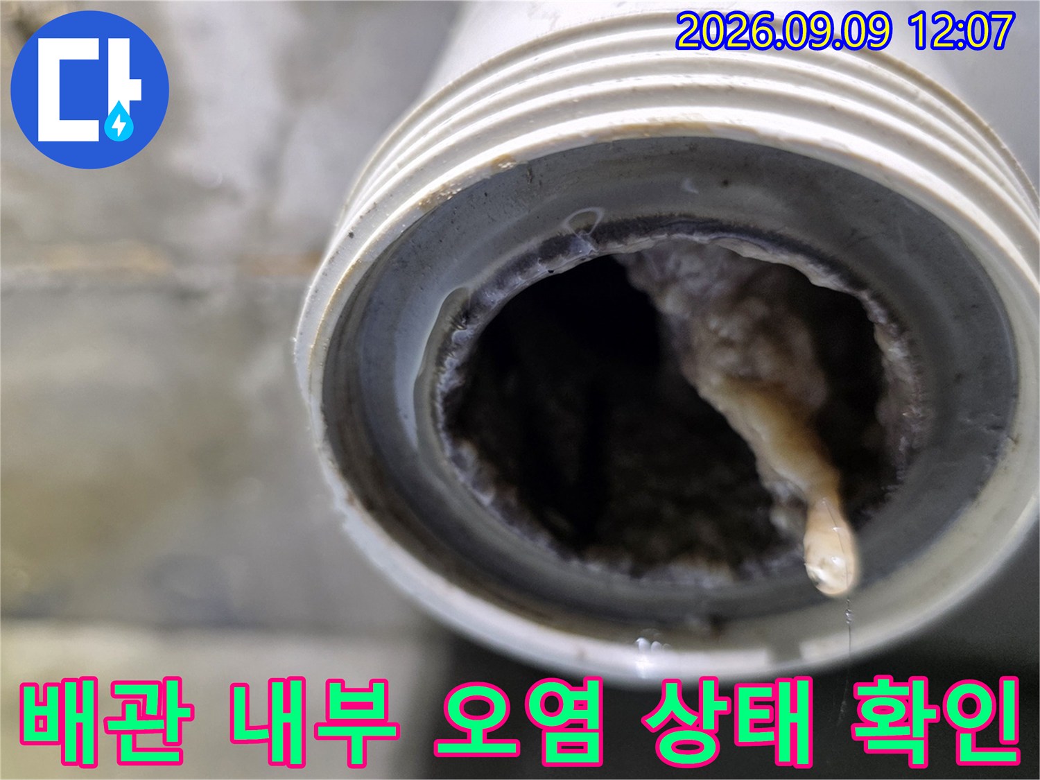 하수구 배관 내부에 가득 찬 슬러지와 이물질의 모습입니다.