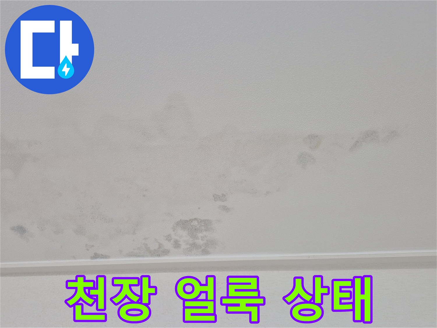 아파트 천장-누수 발생 부위