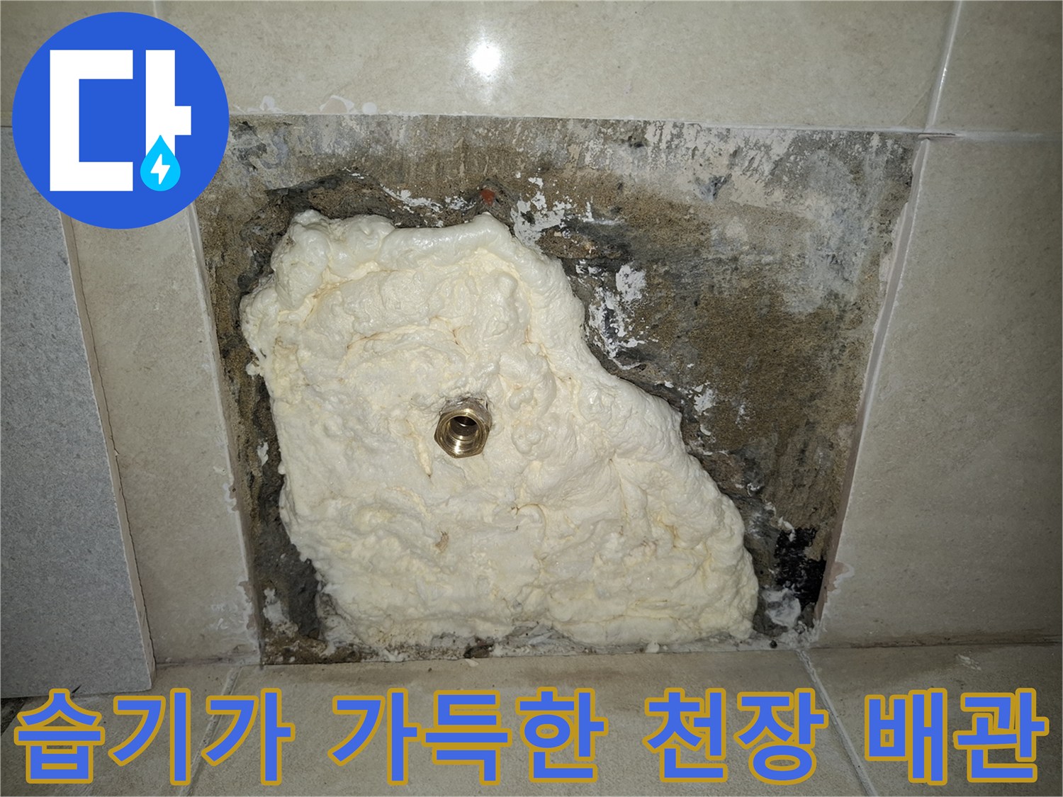 천장 내부 모습 - 누수 흔적이 남은 콘크리트와 배관