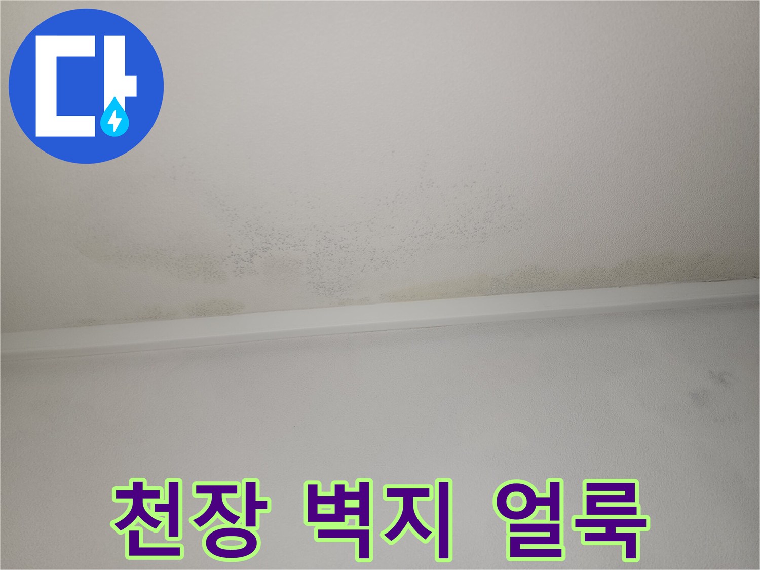 아파트 천장 몰딩 부근에 발생한 젖은 흔적과 누수 자국