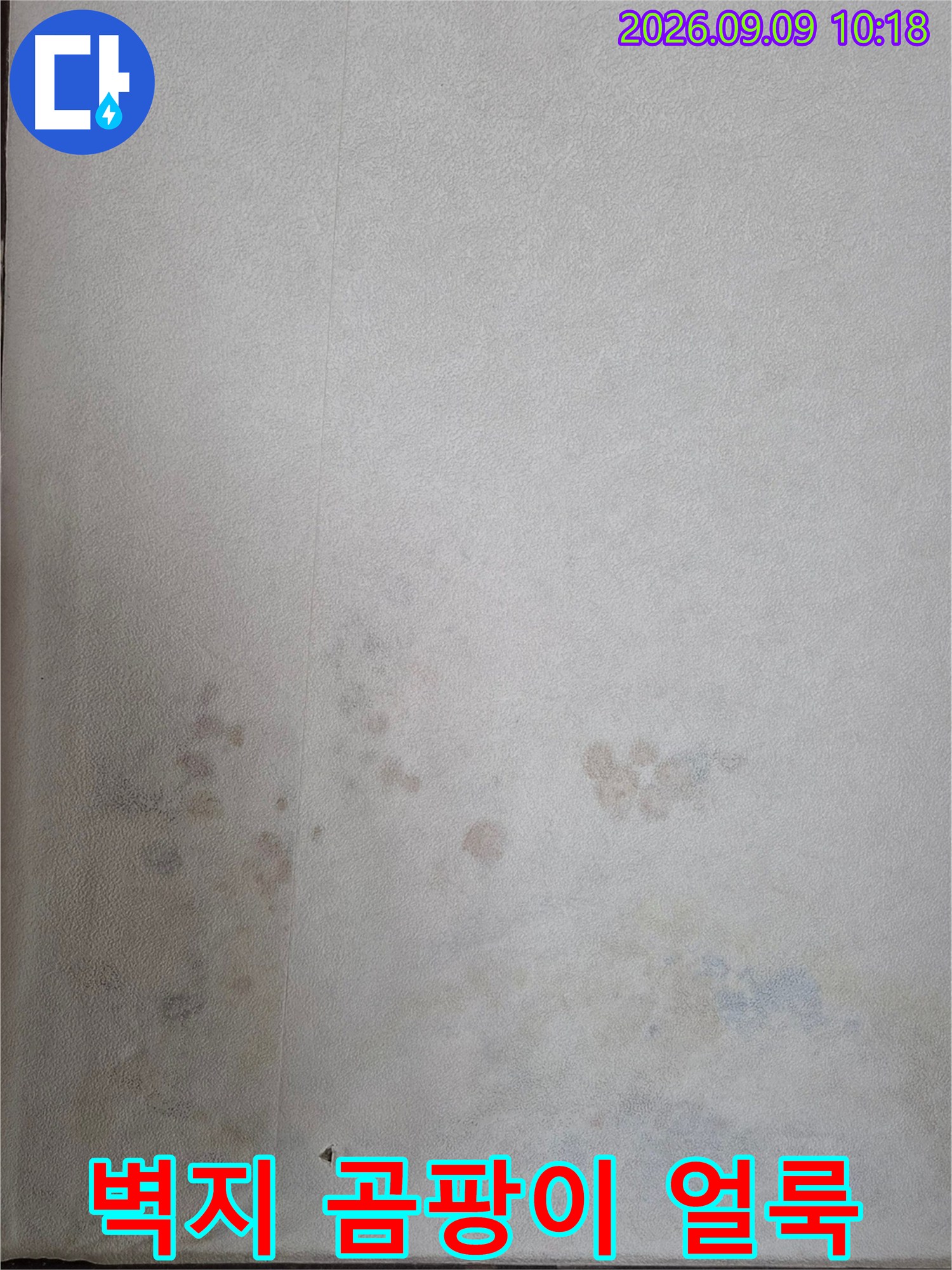 인천 연수구 송도동-벽면 하단부의 젖은 벽지와 곰팡이 흔적