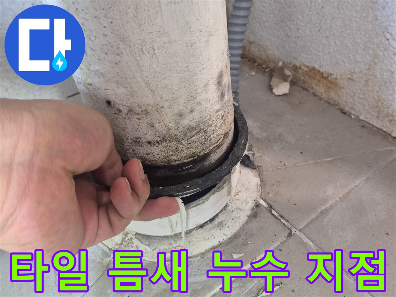 배수관 주변의 오염된 타일과 벌어진 틈새를 점검하는 모습