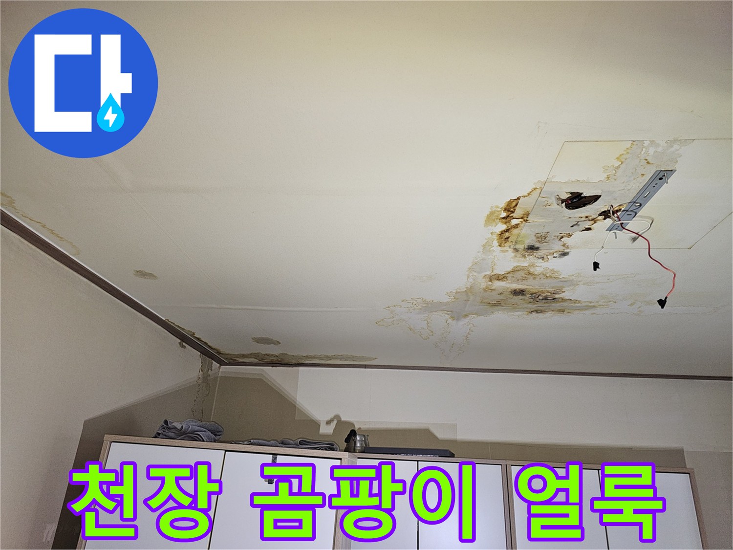 천장 석고보드-누수로 인해 발생한 넓은 범위의 습기 및 오염 부위