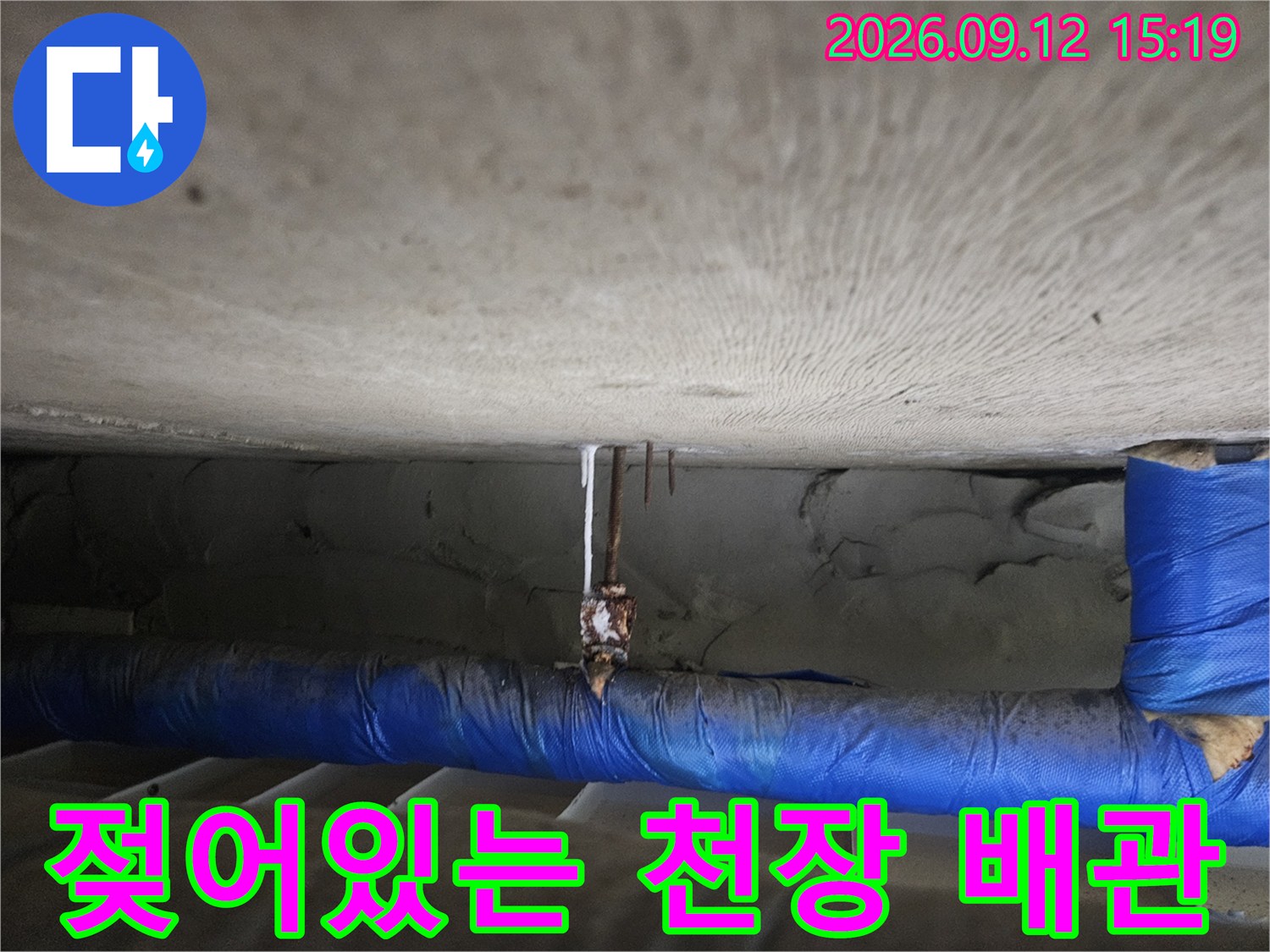 배관 보온재와 콘크리트 천장-천장 내부 배관 주변의 젖음과 습기 분포를 나타냅니다.
