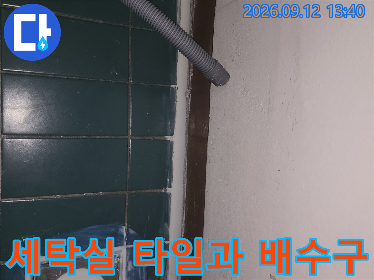 성동구 성수동 세탁실-배수구 주변의 젖은 타일 상태를 확인하고 있습니다.