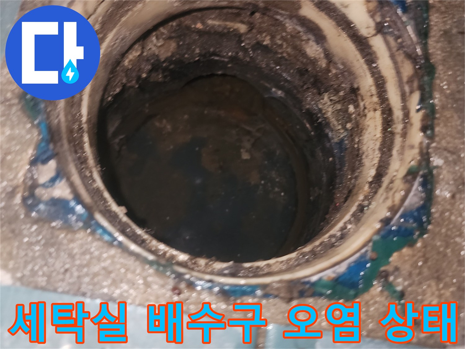 세탁실-배수구-주변의-오염물과-틈새 확인