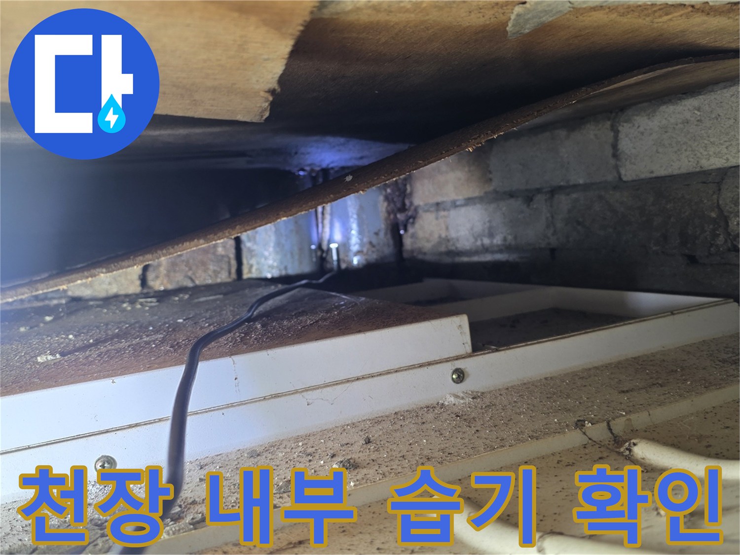 서초구 양재동 현장의 천장 텍스 내부 배관 주변 습기 상태