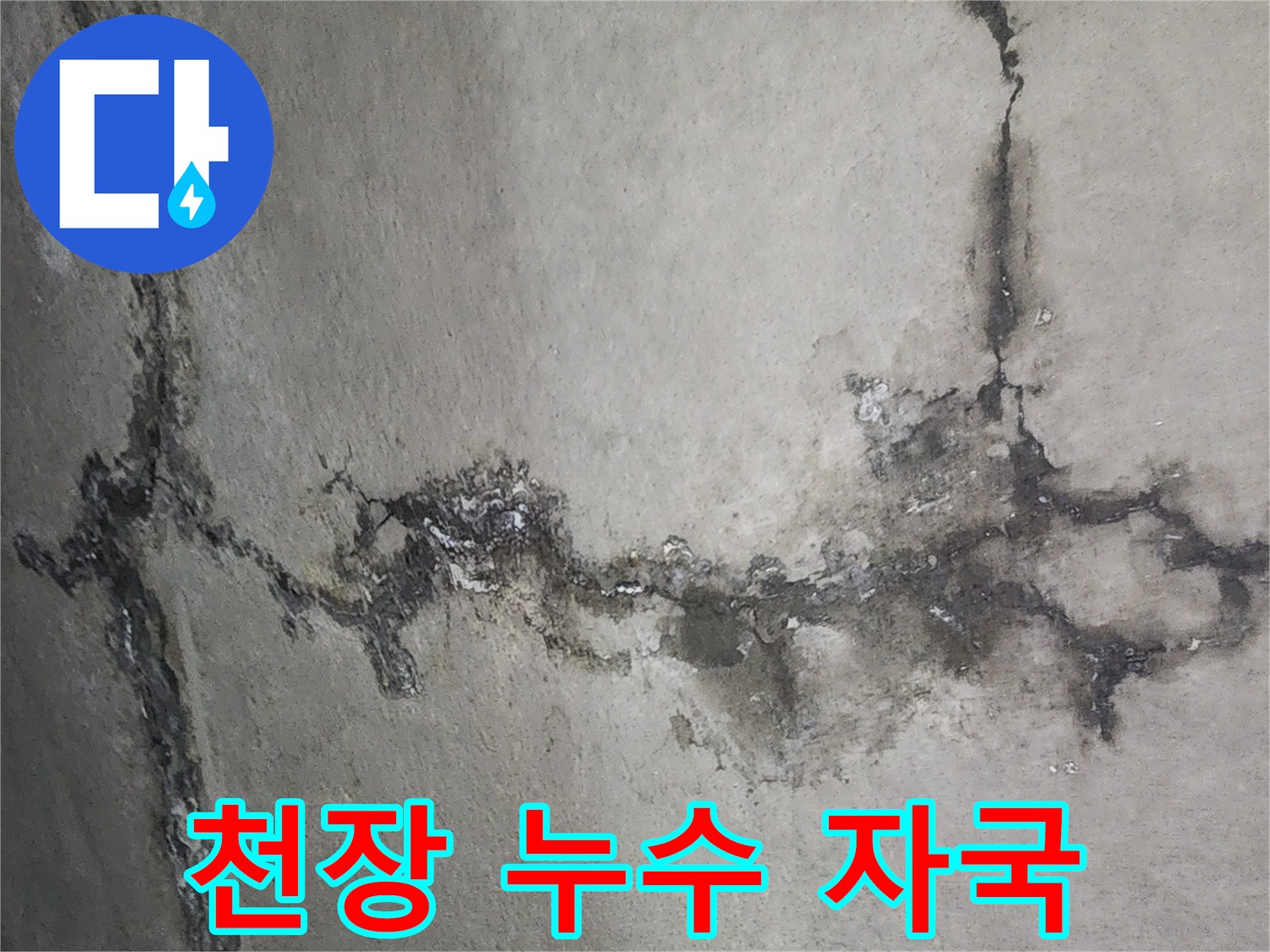 아랫집 천장에 발생한 검은색 물샘 흔적과 습기 침투 상태